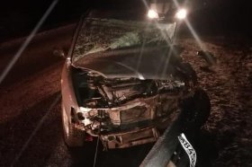 ДТП в Белорецком районе: водитель «Лады Ларгус» сбил лошадь съехал с дороги и врезался в дерево