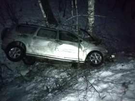 ДТП в Белорецком районе: водитель «Лады Ларгус» сбил лошадь съехал с дороги и врезался в дерево
