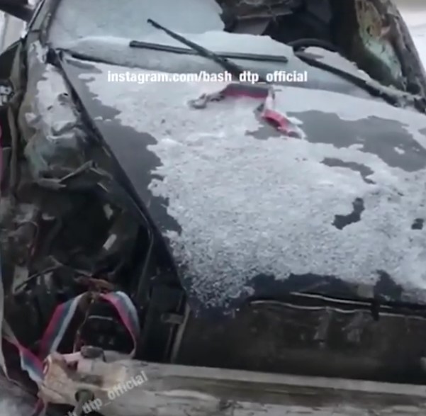 ДТП между Баймаком и Юлдыбаево: водитель сбил лошадь и вылетел с дороги | видео