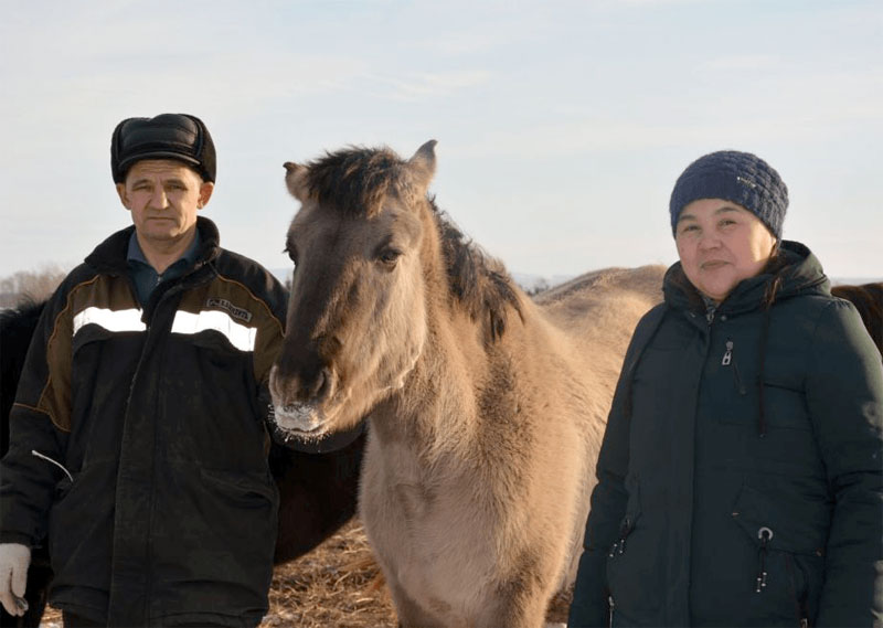 В Башкирии активно реализуется программа «Развитие коневодства Республики Башкортостан»