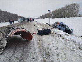 Авария в Бакалинском районе: столкнулись «Форд Фьюжн» и КамАЗ, погибли два человека