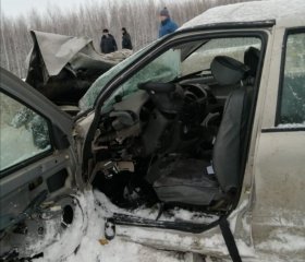 Авария в Бирском районе: столкнулись «Лада Калина» и грузовик «Вольво», погибли водитель и его дочь