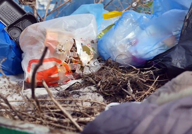 В Башкирии из 81 населенного пункта не вывозится мусор