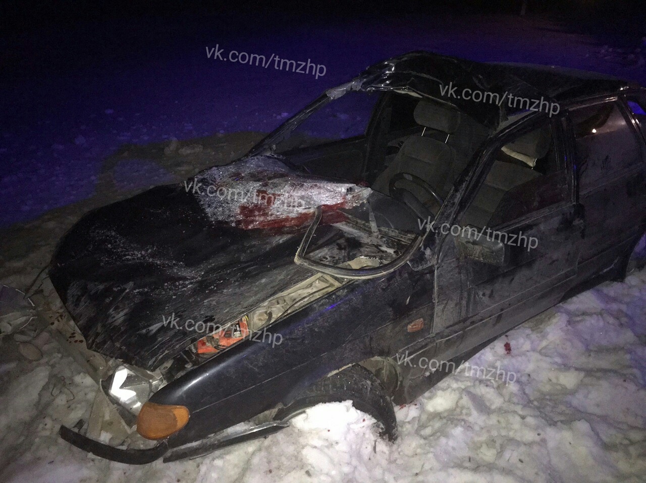 В Туймазинском районе водитель ВАЗ-2115 сбил лошадь
