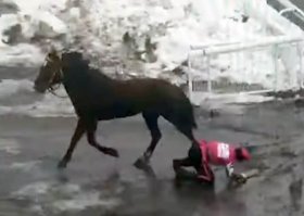 Во время конно-спортивного турнира «Терра Башкирия», лошадь скинула наездника и сбежала | видео