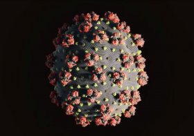 Число больных коронавирусом в Башкирии увеличилось до 40 человек