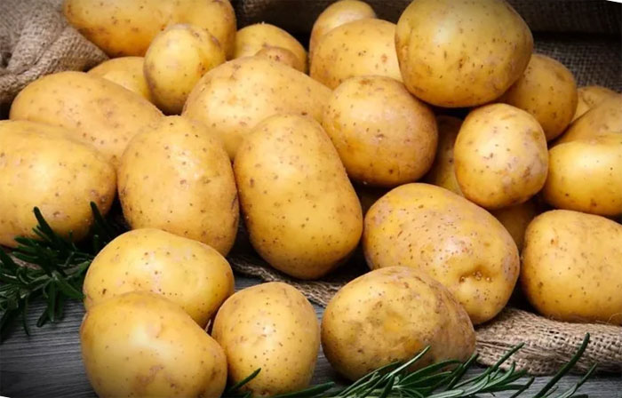 Советы при посадке картофеля: что поможет получить богатый и здоровый урожай