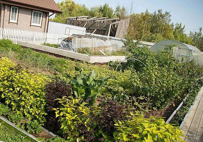 В Башкирии садоводы смогут получить компенсацию за строительство инфраструктуры в садовых товариществах
