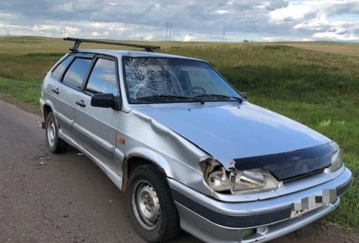 ДТП в Благоварском районе Башкирии: пьяный водитель сбил 6-классника