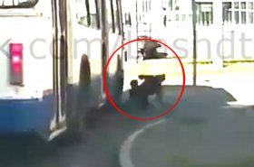 ДТП в Уфе: женщину сбил троллейбус | Видео