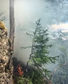 В Гафурийском районе Башкирии произошел пожар в  природном парке “Зилим” | видео