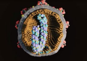 На УМПО зафиксировали 41 случай заражения коронавирусом