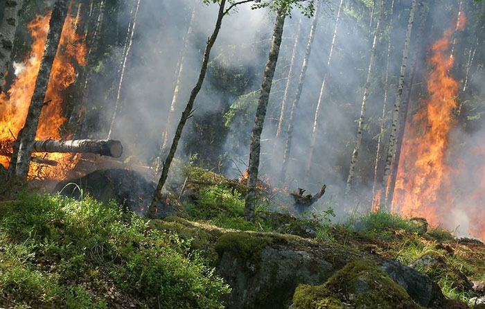 В Бурзянском районе Башкирии, жители своими силами пытаются потушить пожар в заповедном лесу