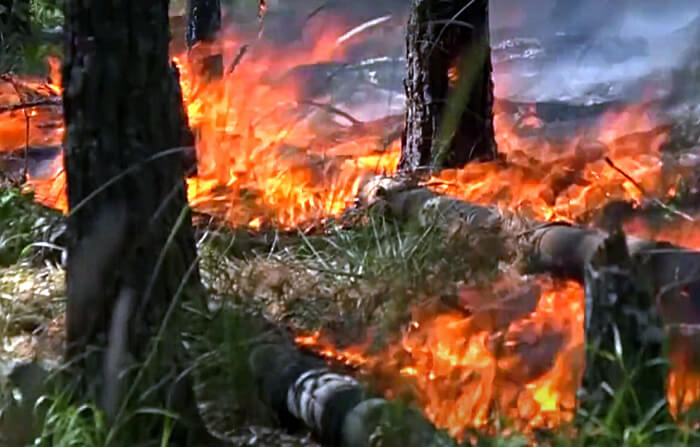 В Башкирии ожидается вторая волна лесных пожаров