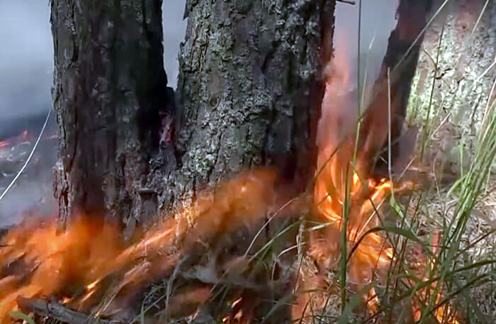 Глава Белорецкого района попросил помощи у жителей Башкирии в тушении лесного пожара