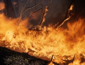 Пожар в заповеднике Бурзянского района удалось локализовать