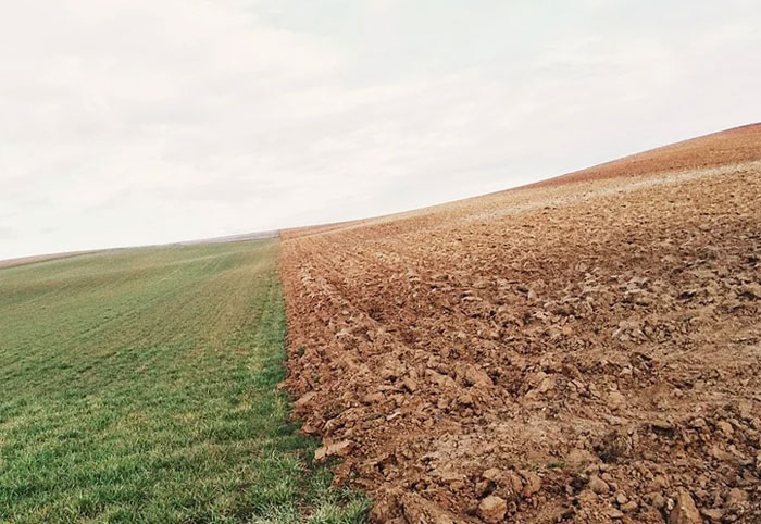 В Чишминском районе обнаружены земли сельхозназначения, загрязненные тяжелыми металлами