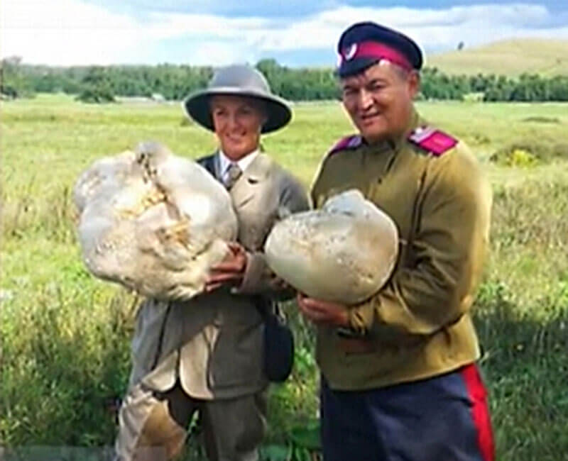 В Баймакском районе огромным грибом накормили 20 человек
