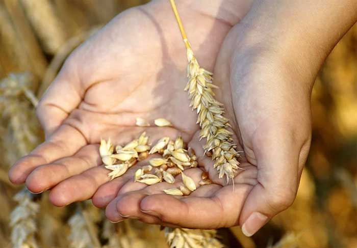 В Дуванском районе скоро появится новое сельхозпредприятие