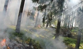 4 природных пожара зарегистрировали в Башкирии за сутки