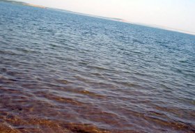 В Давлекановском районе на озере Аслыкуль спасли серфера