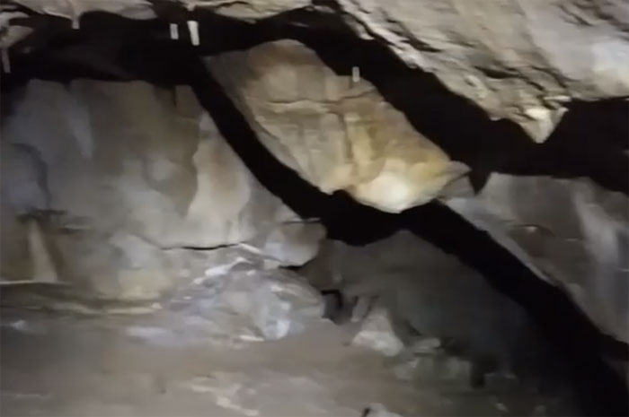 В Бурзянском районе, на территории нацпарка "Башкирия", обнаружили новую пещеру