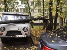 В Уфе сильный ветер повалил деревья на автомобили