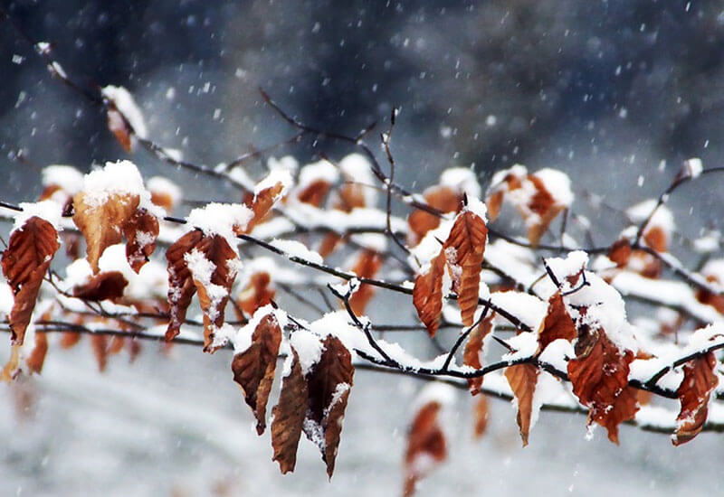 В Башкирии на текущей неделе установится временный снежный покров