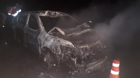 Авария в Аскинском районе: водитель «Шкоды Октавия» сбил лошадей