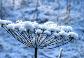 В горных районах Башкирии выпал первый снег