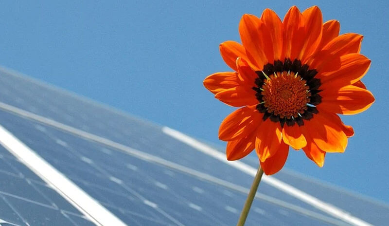 В Ишимбайском районе будут производить солнечные батареи
