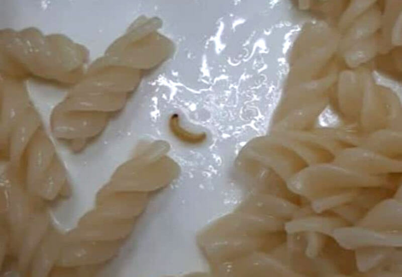 В школьной столовой города Сибая подали макароны с червями