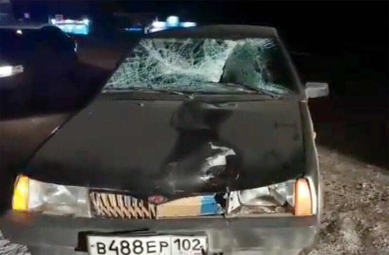 ДТП в Бирском районе: водитель из Мишкинского района насмерть сбил женщину | видео