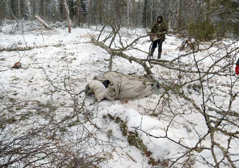 Житель Белорецкого района, спасая собаку, едва не погиб под рухнувшим деревом