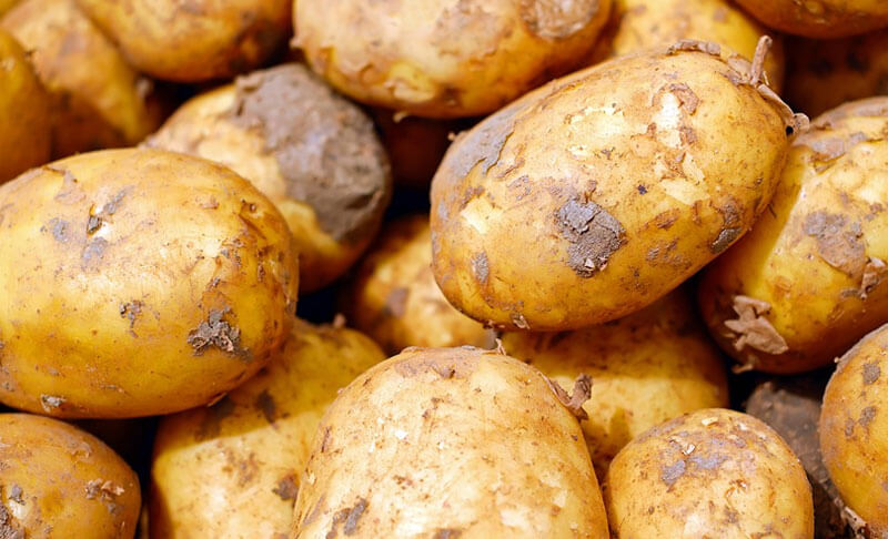Россиян начнут штрафовать за продажу неправильной картошки