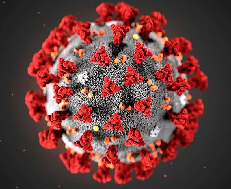 Ученые назвали три кожных симптома коронавируса