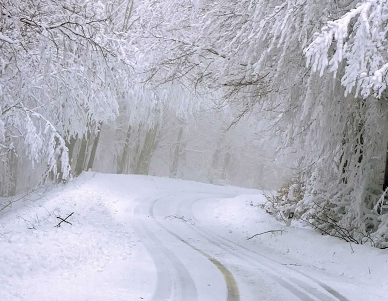 МЧС Башкирии предупредило о мокром снеге и ухудшении видимости на дорогах