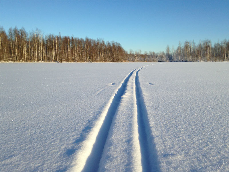 В Нуримановском районе пара молодых лыжников замерзла и заблудилась в лесу
