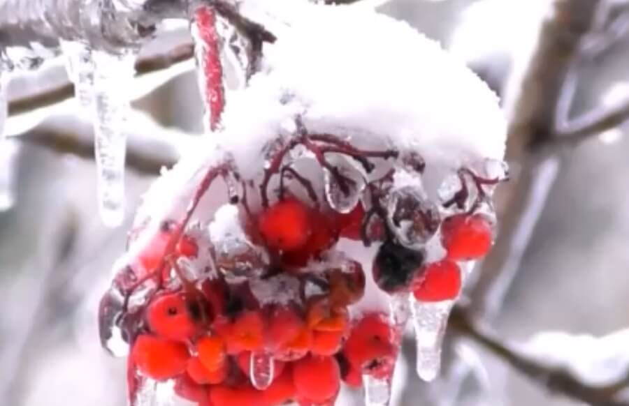 В Башкирии прогнозируются снегопад и гололедица