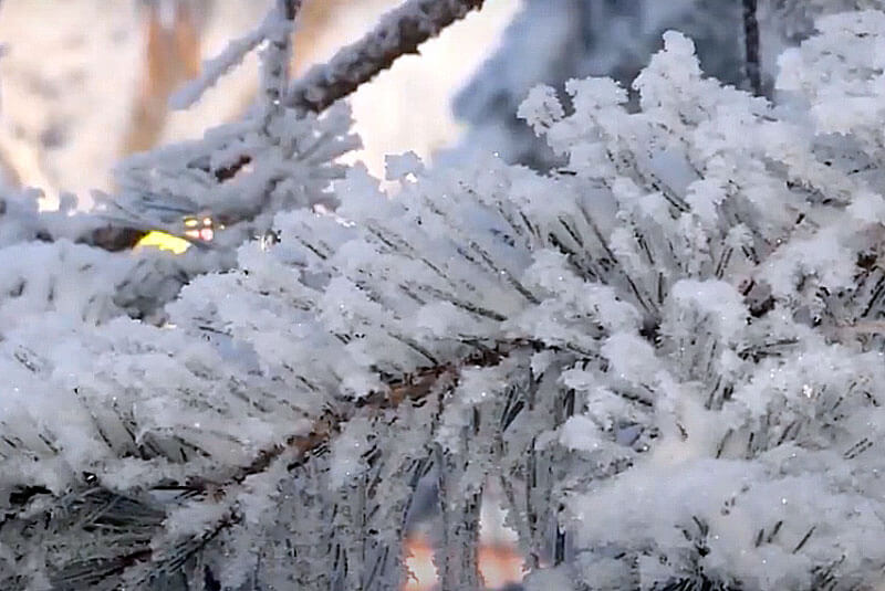 В Башкирии в ближайшие дни прогнозируют мороз, снег и метель