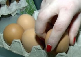 В Башкортостане из-за птичьего гриппа могут подорожать курица и яйца