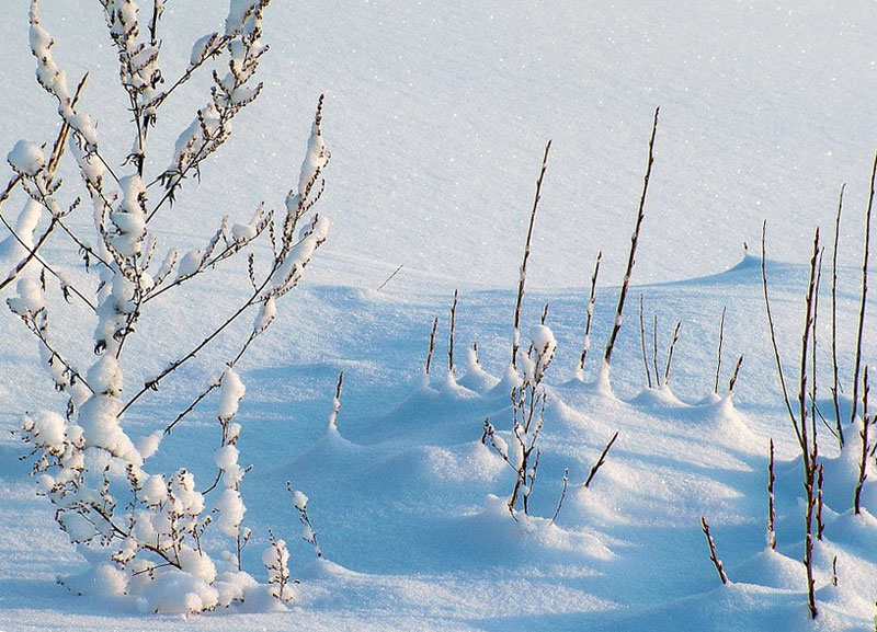 В Башкирии прогнозируются морозы до -28°