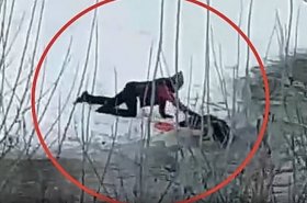 Житель Стерлитамака спас собаку из ледяной воды