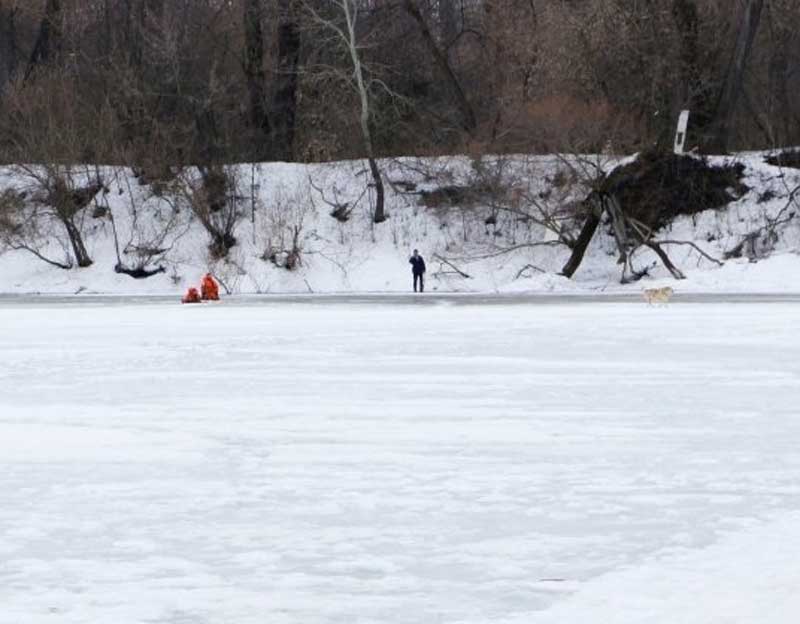 Уфимские спасатели вытащили собаку, провалившую под лед