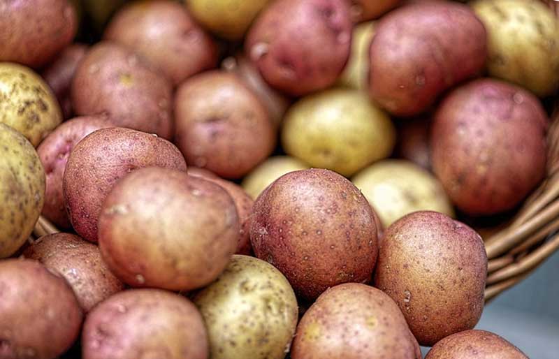 В Башкортостане на 6 процентов подорожал картофель