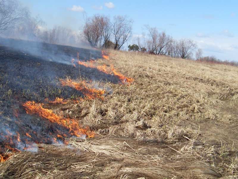 В башкирских лесах открыт пожароопасный сезон