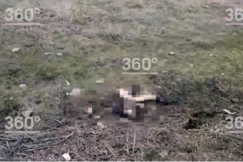 Руководитель СК РФ взял под личный контроль дело о гибели ребенка после нападения бродячих собак в Учалинском районе