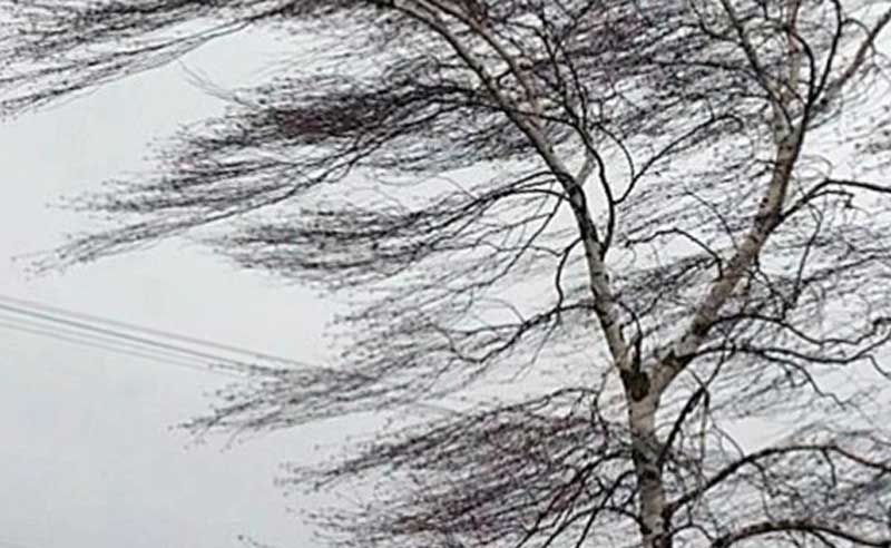 МЧС Башкирии сообщила о надвигающемся штормовом ветре