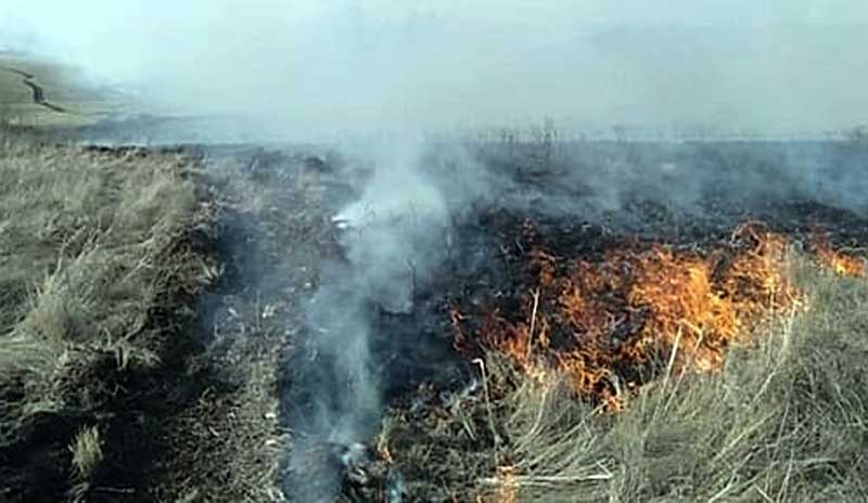 В Хайбуллинском районе осудят мужчину, устроившего лесной пожар около деревни