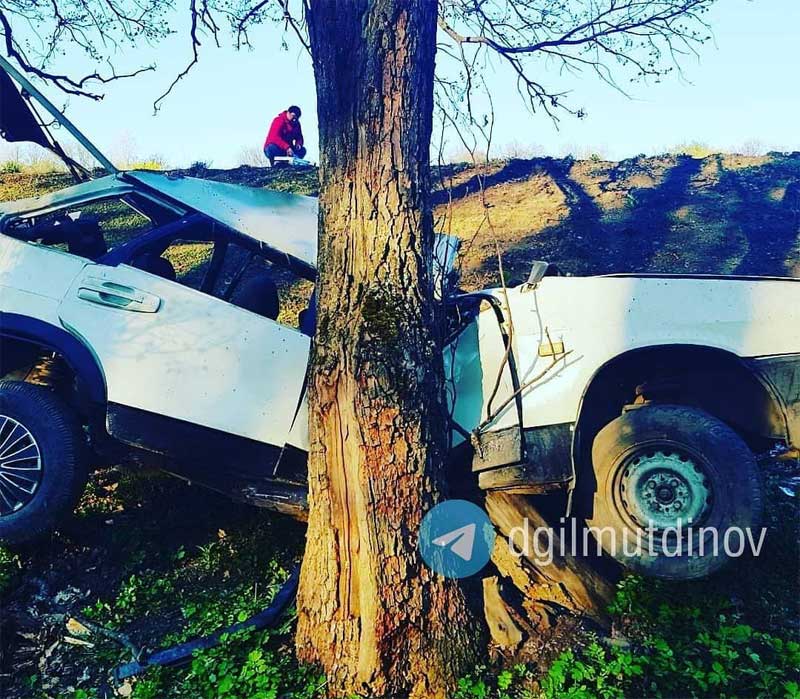 Авария в Зинчуринском районе: водитель наехал на дерево, вылетев в кювет